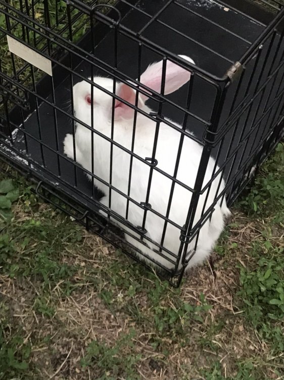 IMG-7c2c1bfa04cdb5fb94a686460be8381c-V.jpg